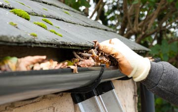 gutter cleaning Awliscombe, Devon