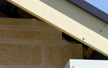 soffit repair Awliscombe