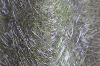 Awliscombe fibreglass roof work